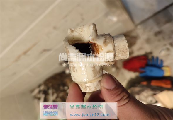 巨鹿引起漏水的原因有哪些？